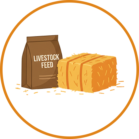 Livestock Food